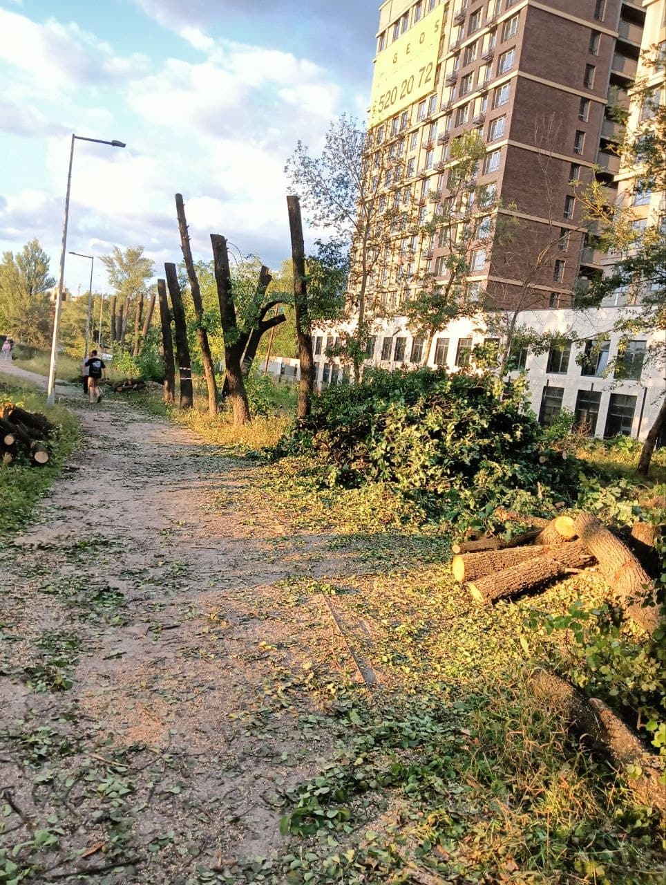 Зрізані дерева, гілки та стовбури вздовж паркової доріжки